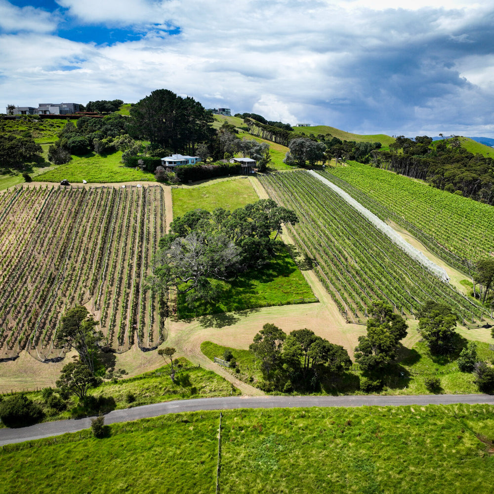 Waiheke Wine Growers Association 