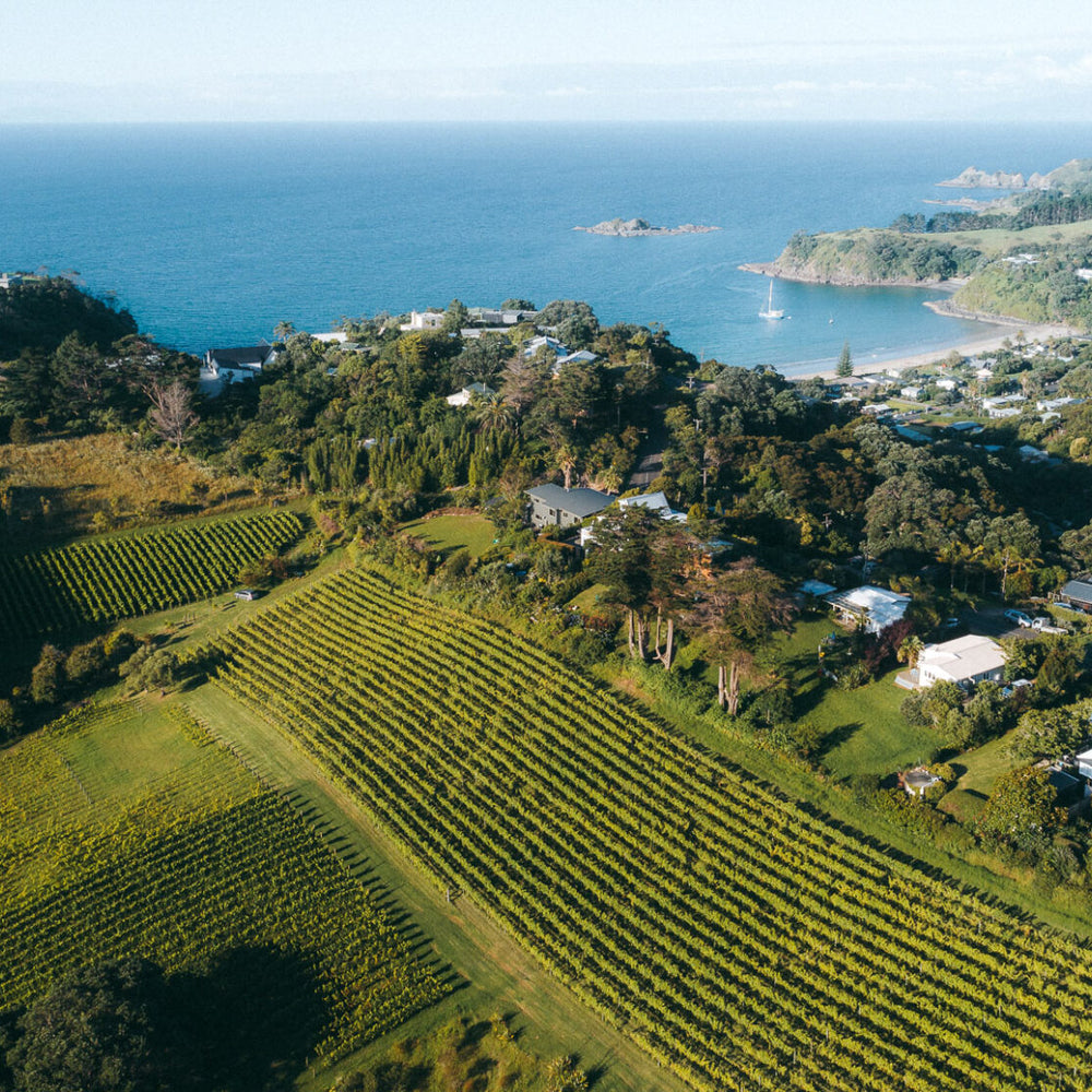 Waiheke Wine Growers Association 