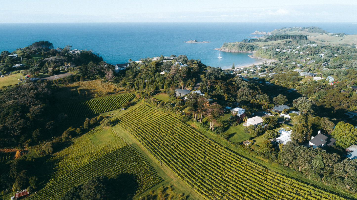 Waiheke Wine Growers Association 