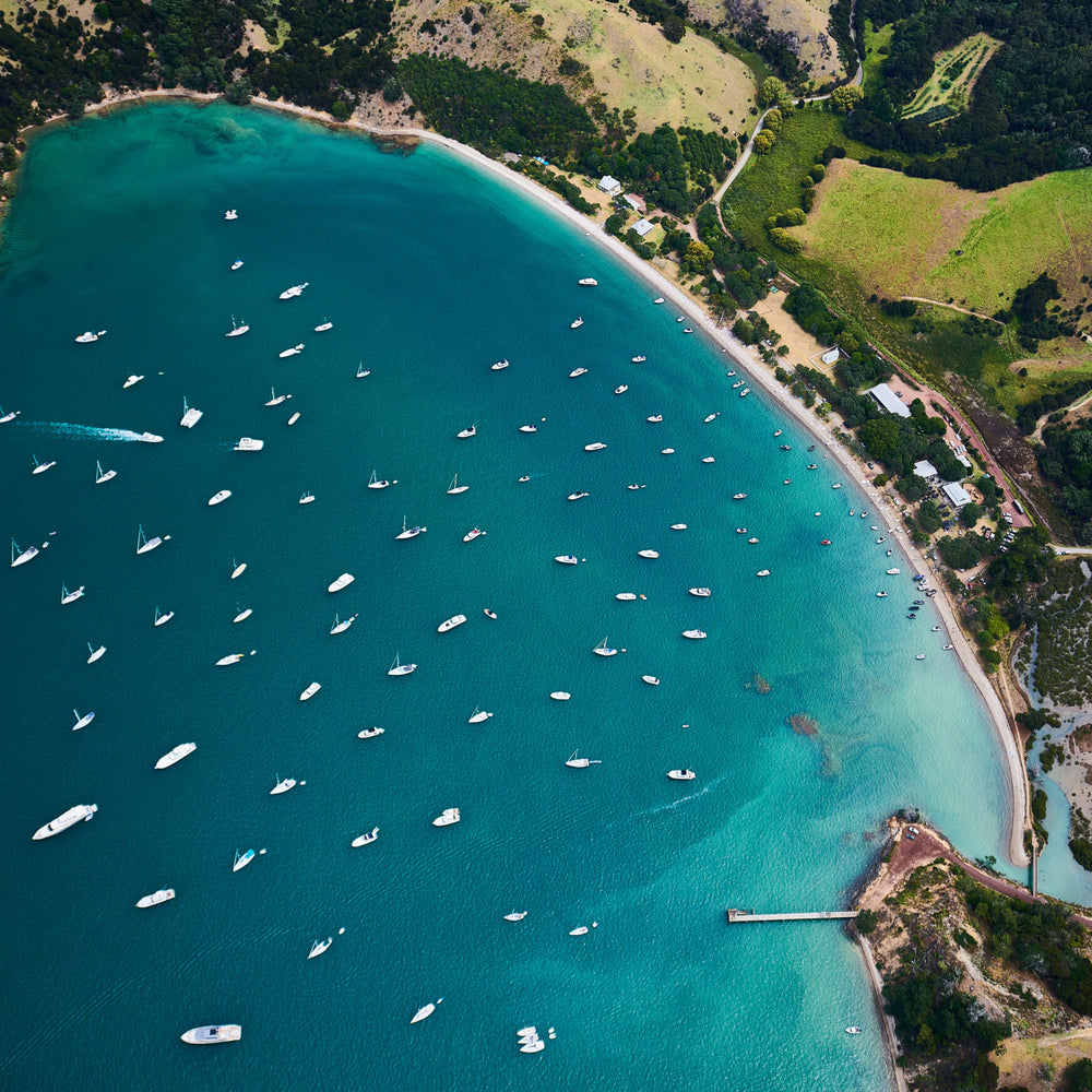 Waiheke Wine Growers Association 