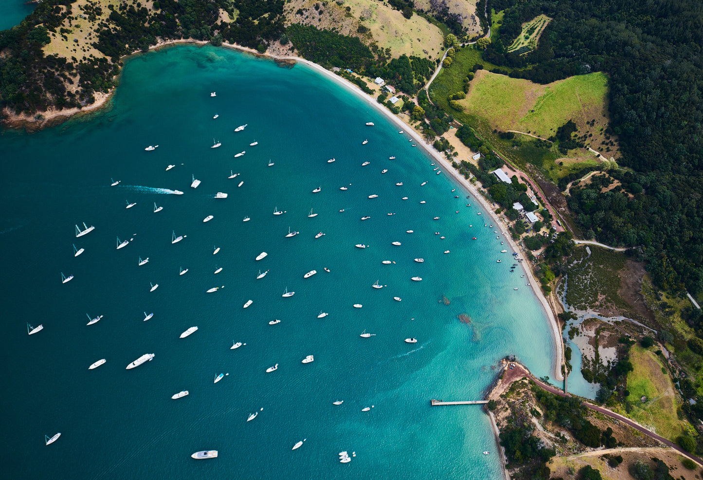 Waiheke Wine Growers Association 