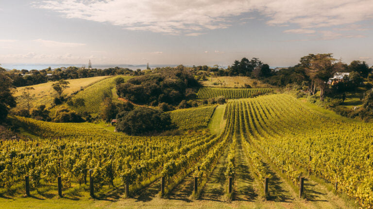 Waiheke Wine Growers Association 