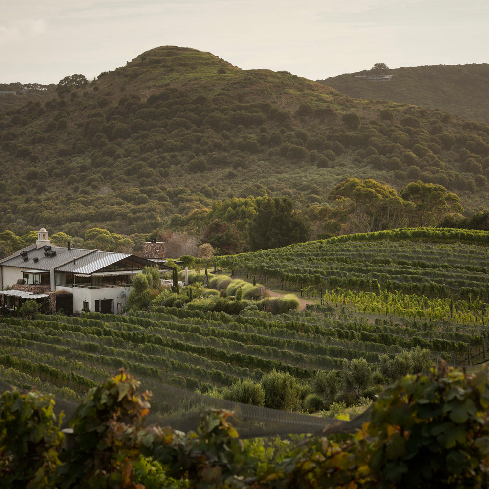 Waiheke Wine Growers Association 