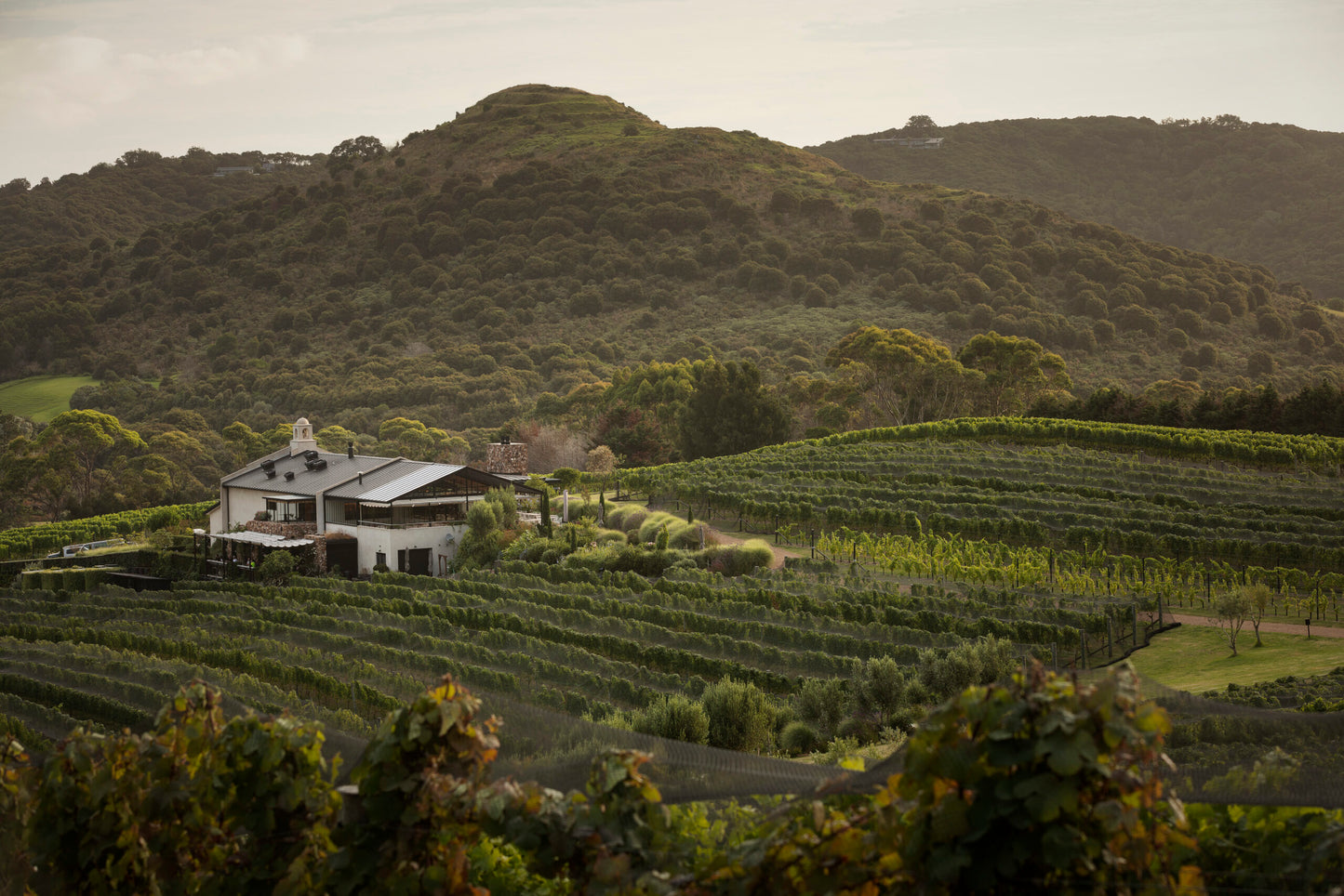 Waiheke Wine Growers Association 