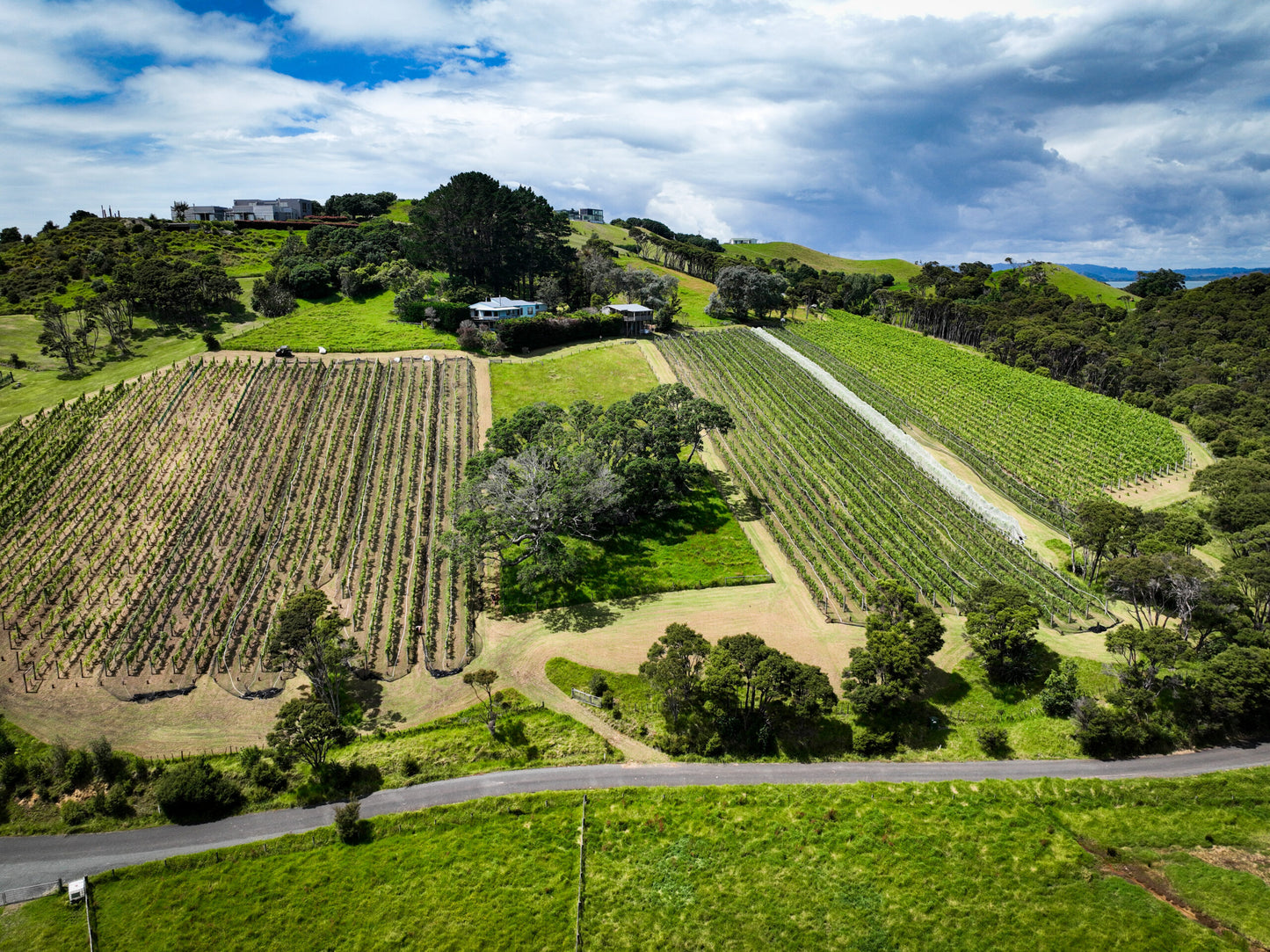 Waiheke Wine Growers Association 